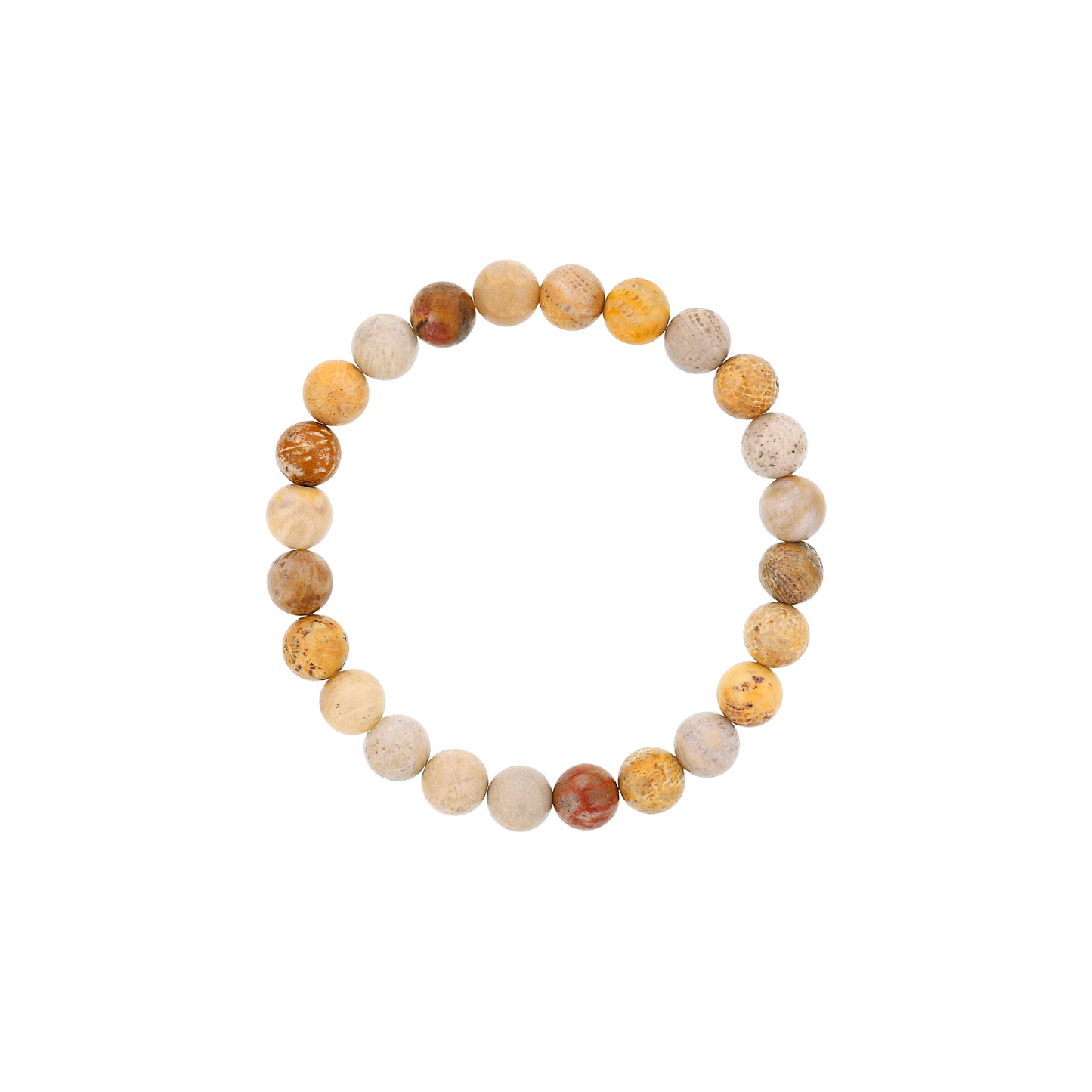 Dee Berkley Fossil Coral Beaded Bracelet
