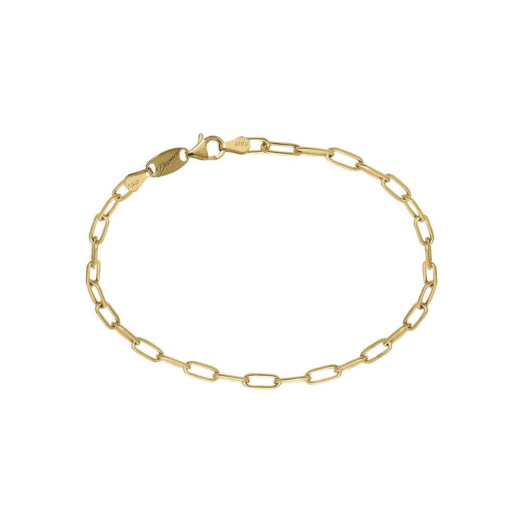 Desmos Paper Clip Link Bracelet