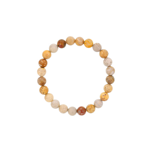 Dee Berkley Fossil Coral Beaded Bracelet