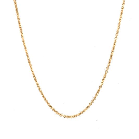 Gold Rolo Chain 16"