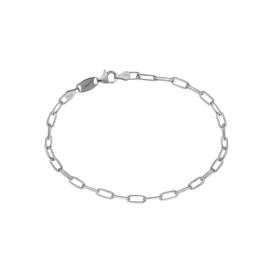 Desmos Paper Clip Link Bracelet