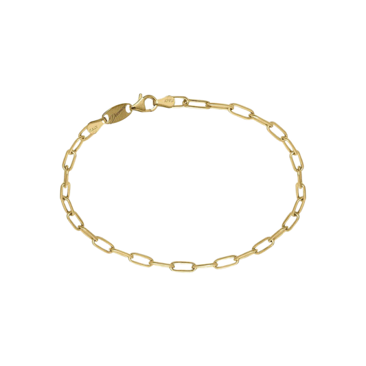 Desmos Paper Clip Link Bracelet