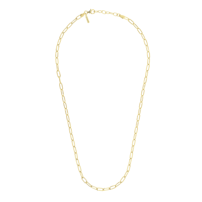 Desmos Paperclip Link Necklace