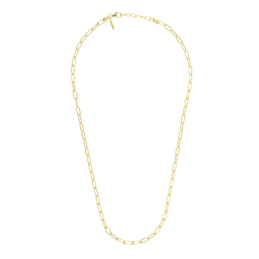 Desmos Paperclip Link Necklace