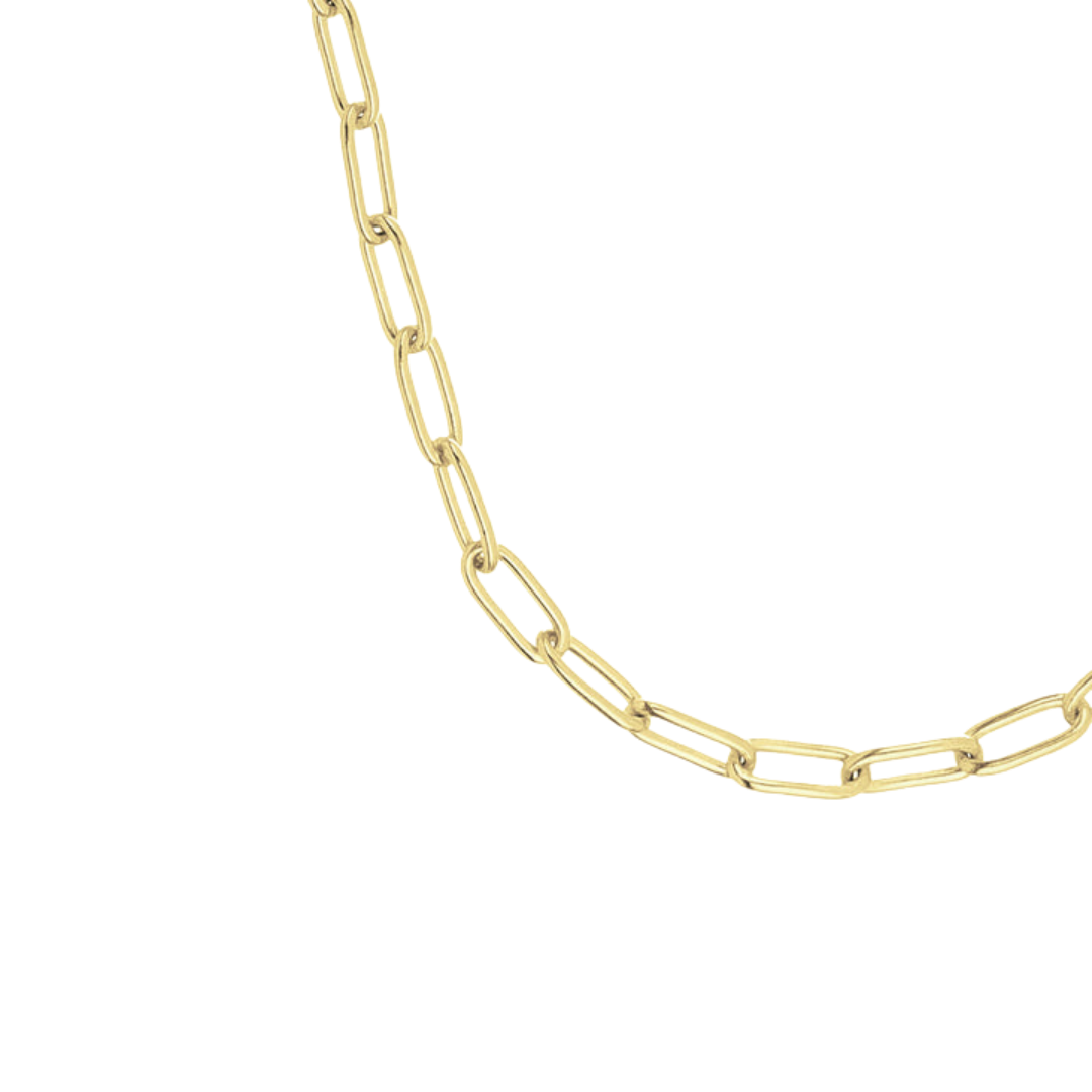 Desmos Paperclip Link Necklace
