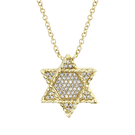 Shy Creation Diamond Star Of David Pendant Necklace