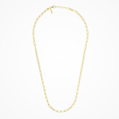 Desmos Paperclip Link Necklace