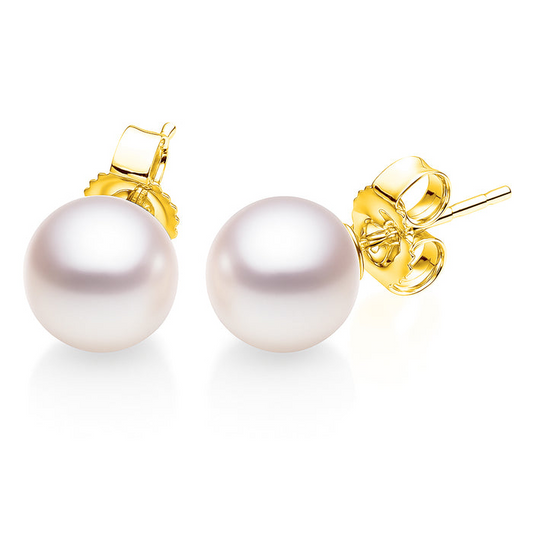 14K Yellow Gold Akoya Cultured Pearl Stud Earrings
