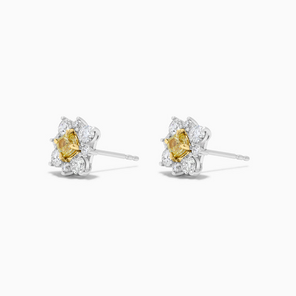 18K Two Tone Yellow And White Diamond Stud Earrings