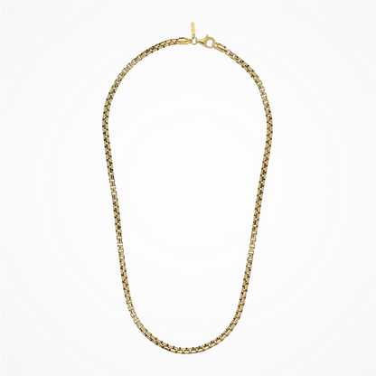 Desmos 18K Yellow Gold Plated Necklace