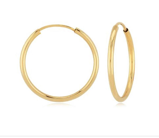 Carla Hoop Earrings