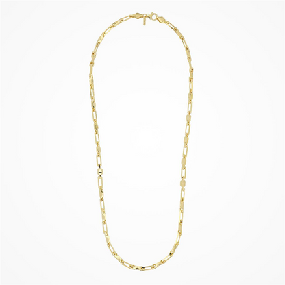 Desmos Paperclip Link Necklace