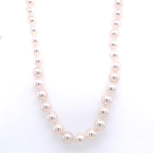 14Ky Pearl Necklace