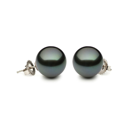 14K White Gold Tahitian Stud Earrings
