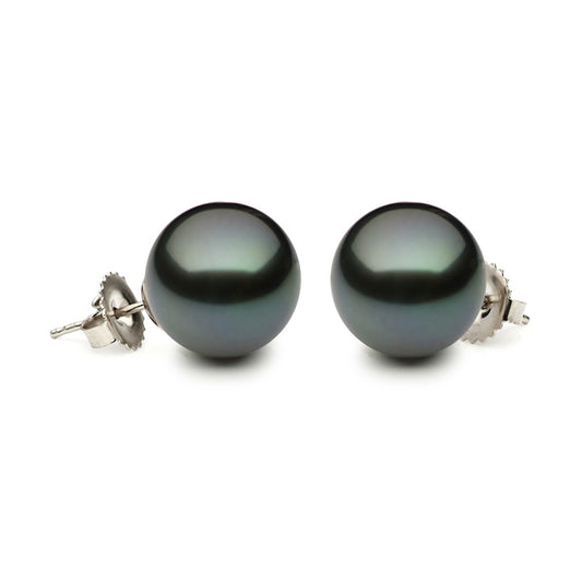 14K White Gold Tahitian Stud Earrings