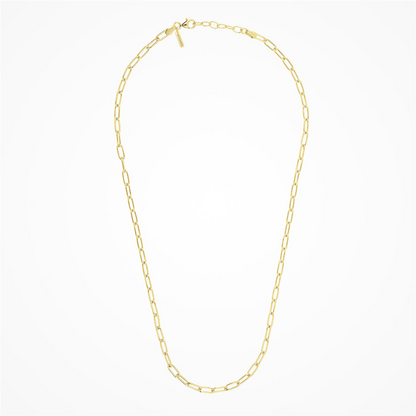 Desmos Paperclip Link Necklace