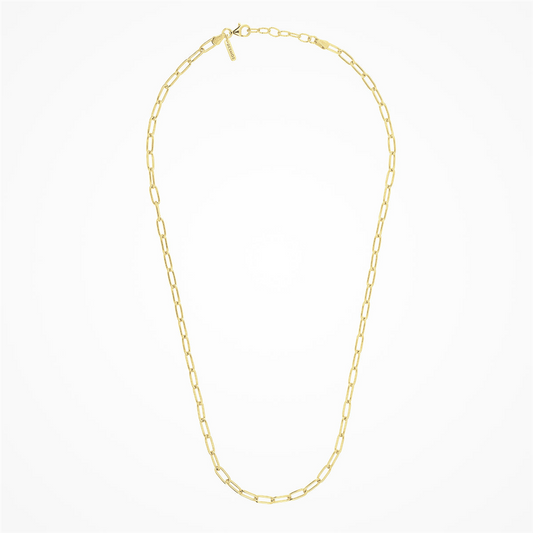 Desmos Paperclip Link Necklace