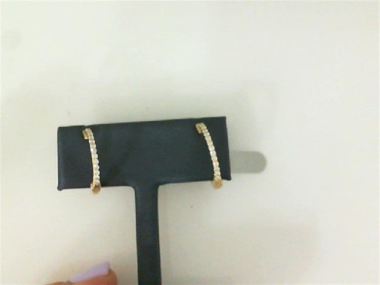 Rolland's Designs Diamond Hoop Earrings
